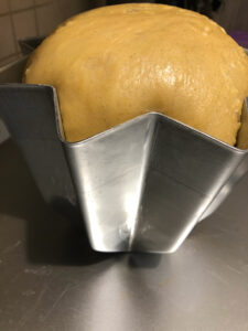 Impasto pandoro lievitato